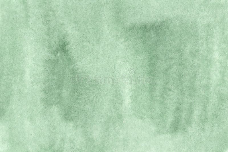 Fundo verde Spruce protegido da aquarela ilustração royalty free Fundo verde Spruce protegido da aquarela ilustração royalty free