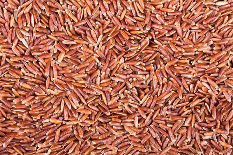 Fundo de arroz vermelho imagem de stock