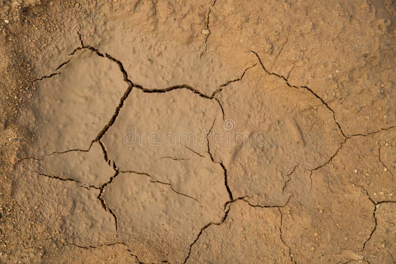 Fundo à terra secado da textura do solo rachado da terra foto de stock royalty free