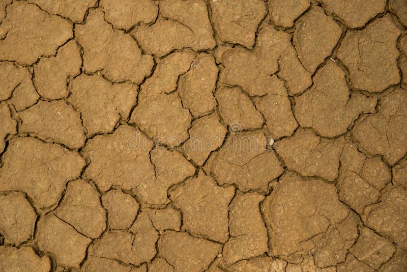 Fundo à terra secado da textura do solo rachado da terra fotografia de stock