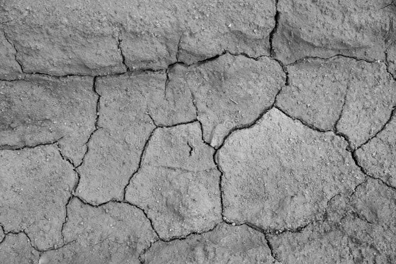 Fundo à terra secado da textura do solo rachado da terra imagens de stock