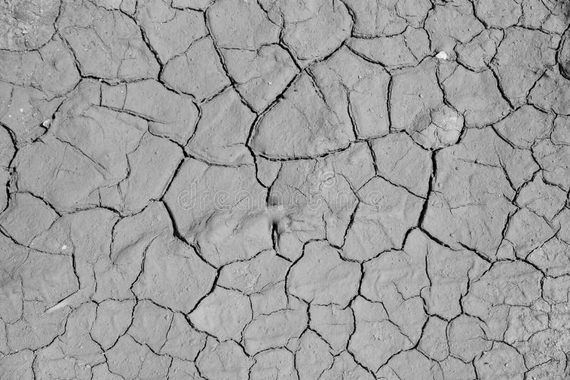 Fundo à terra secado da textura do solo rachado da terra imagem de stock royalty free