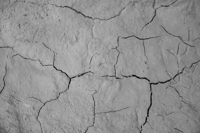 Fundo à terra secado da textura do solo rachado da terra imagem de stock royalty free