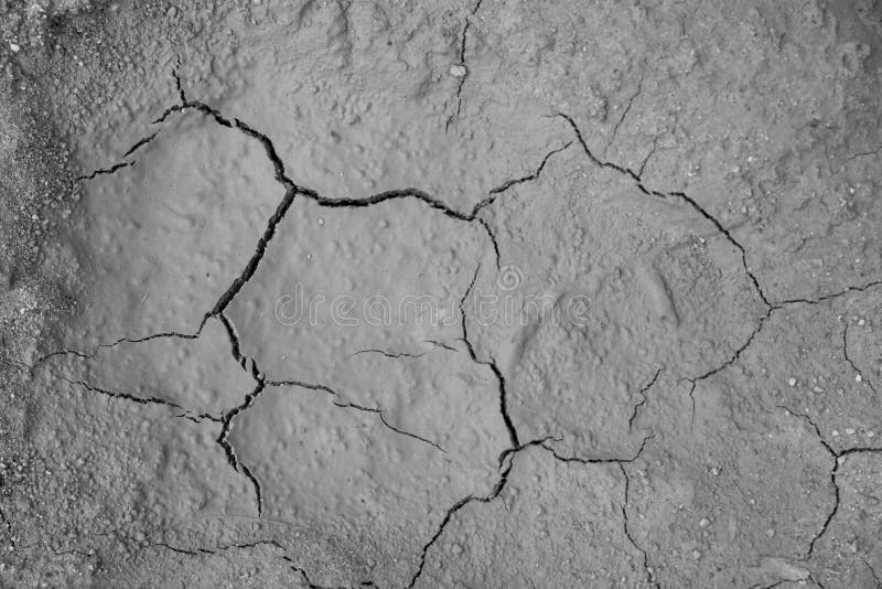 Fundo à terra secado da textura do solo rachado da terra fotos de stock