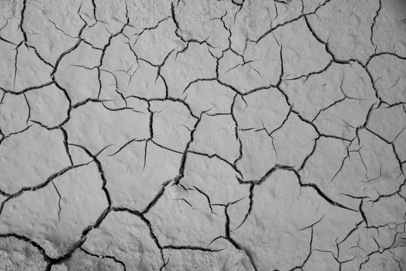 Fundo à terra secado da textura do solo rachado da terra imagem de stock
