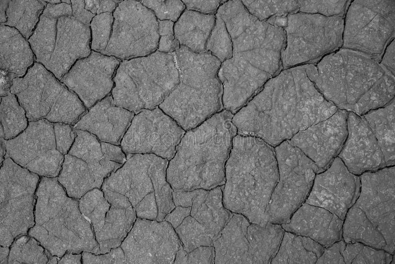 Fundo à terra secado da textura do solo rachado da terra imagens de stock