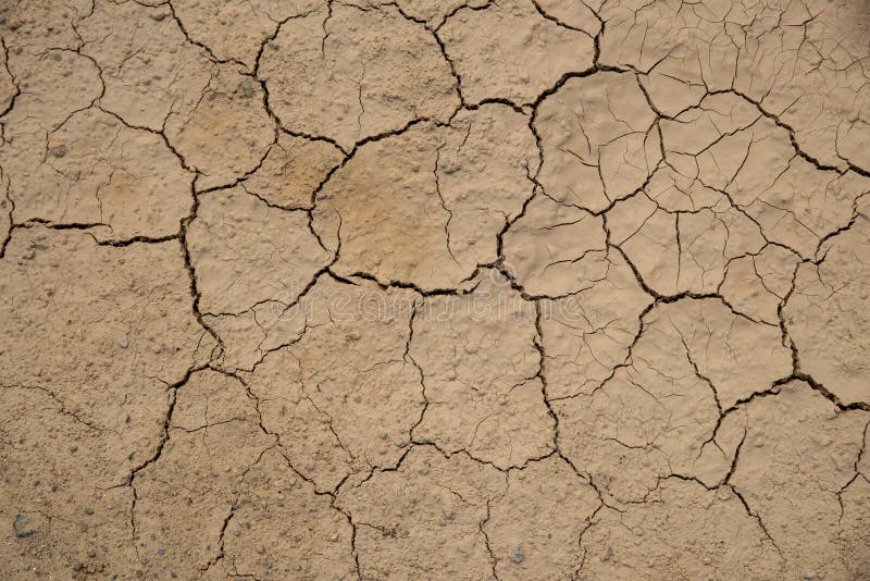 Fundo à terra secado da textura do solo rachado da terra fotos de stock