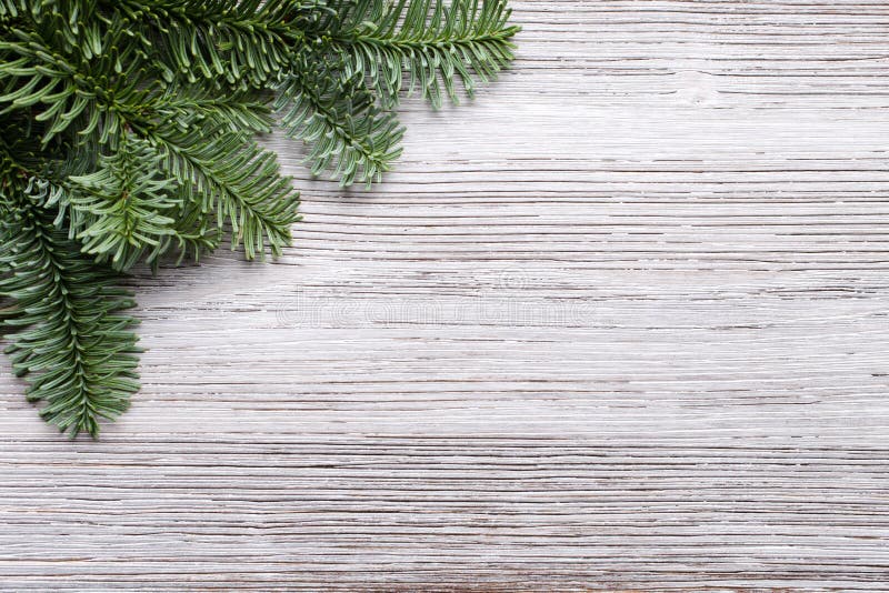 Fundos de Natal imagem de stock royalty free