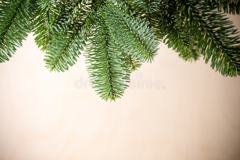 Fundos de Natal imagens de stock royalty free