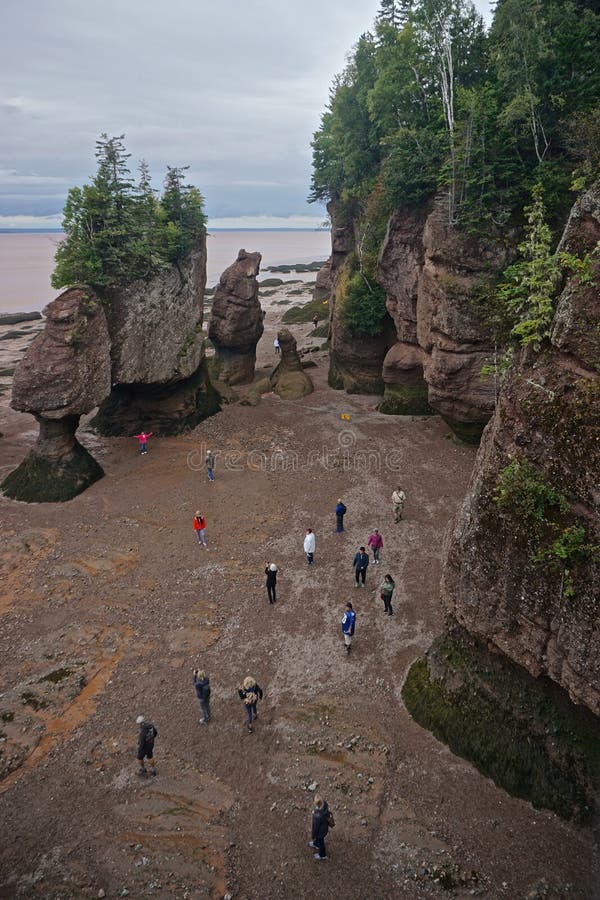 Download Gratuito de Fotos de Baía de Fundy, no Canadá