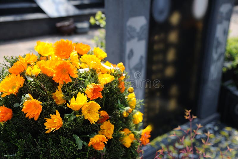 89,694 Funeral Stock Photos Free & RoyaltyFree Stock Photos from