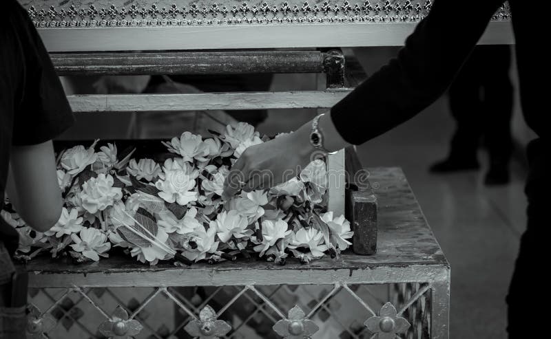 Funeral in Thailand. People put sandalwood flower to pay final tribute to the deceased. Thai Buddhist funerals. Wood cremation