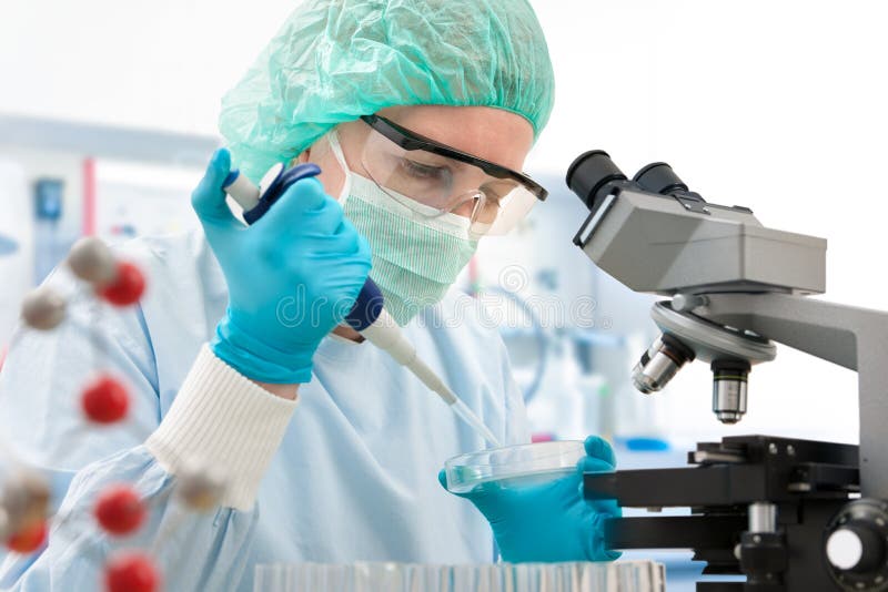 Fungera på laboratoriumet royaltyfri foto
