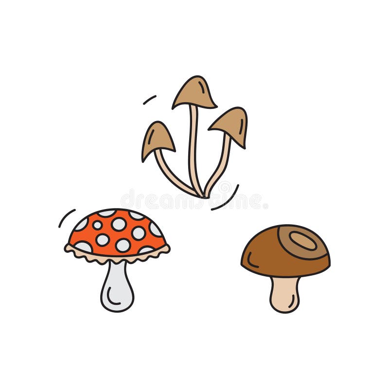 Fungi, mushroom vector illustration set