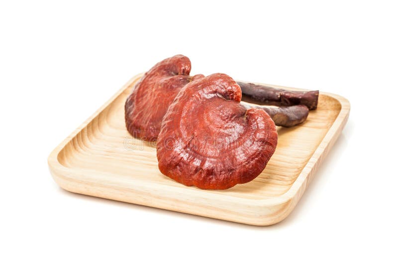 Fungo di ganoderma lucidum sul piatto di legno nel bianco fotografia stock libera da diritti Fungo di ganoderma lucidum sul piatto di legno nel bianco fotografia stock libera da diritti