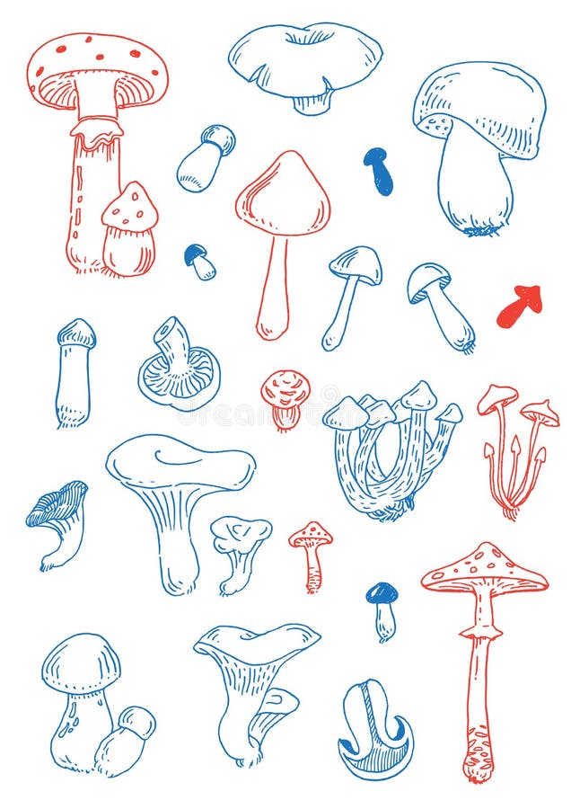 Fungus doodles