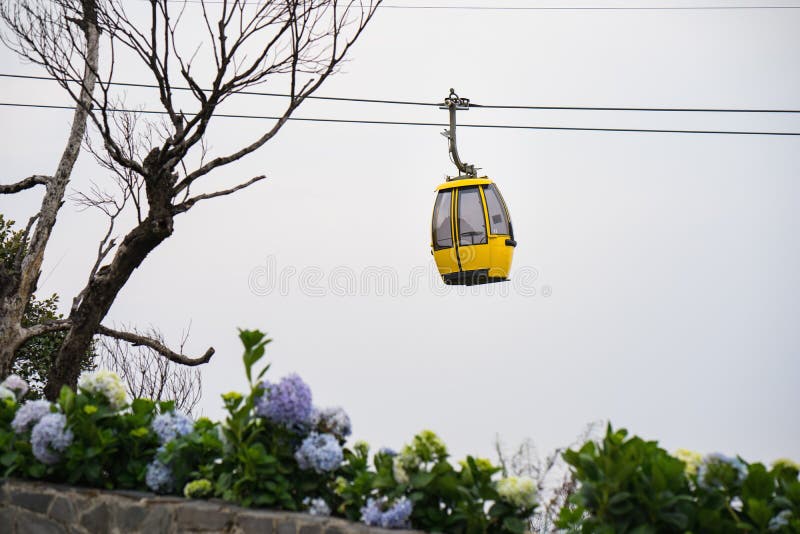 Funiculaire avec des fleurs et arbre sec sur le premier plan photos libres de droits Funiculaire avec des fleurs et arbre sec sur le premier plan photos libres de droits