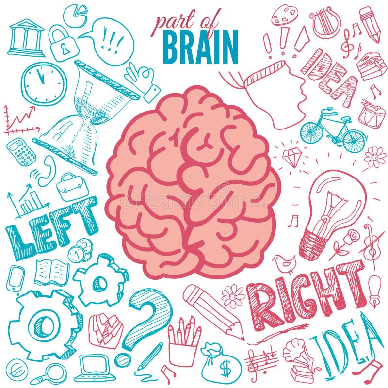 Funktionen des linken und rechten Gehirns
