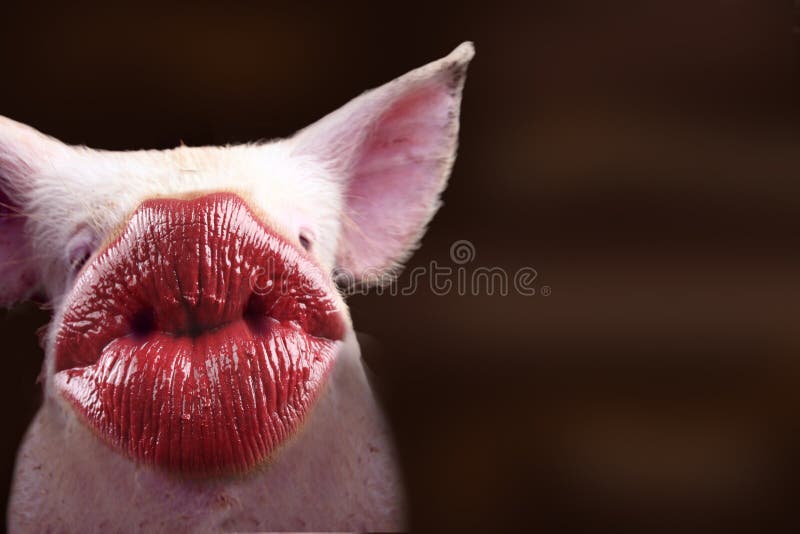 Funny Animal with Kissing Lips Cards for a Thank You, Birthday Stock Image  - Image of circle, lover: 168474521