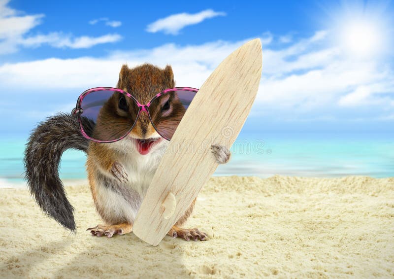 977,792 Funny Animal Stock Photos - Free & Royalty-Free Stock Photos from Dreamstime 977,792 Funny Animal Stock Photos - Free & Royalty-Free Stock Photos from Dreamstime