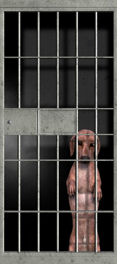 1,066 Dog Jail Stock Photos - Free & Royalty-Free Stock Photos from  Dreamstime