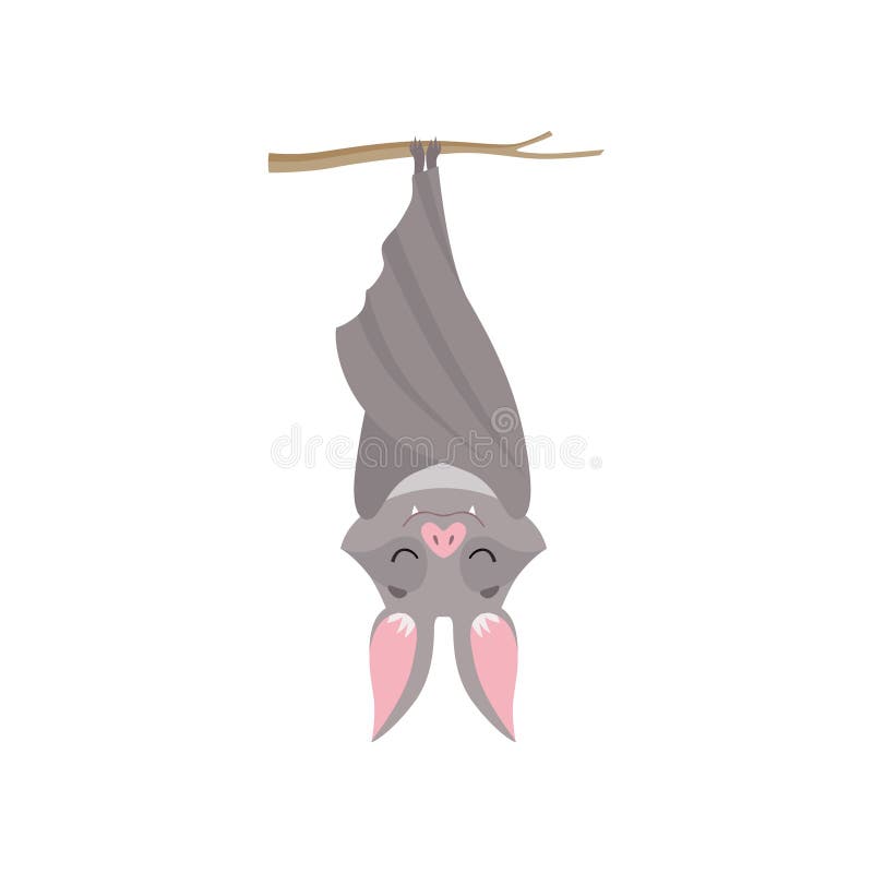 Featured image of post Bat Hanging Upside Down Drawing Easy Flying natterers bat on grey background