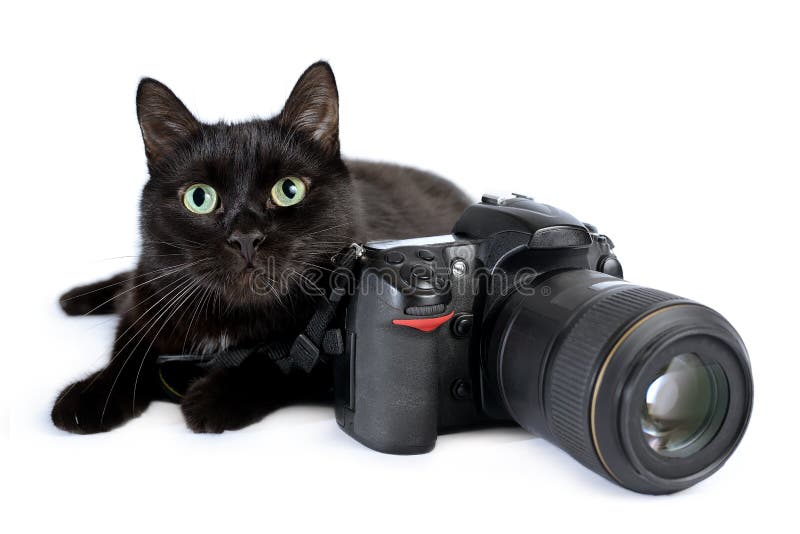 361 Wallpaper Dslr Stock Photos - Free & Royalty-Free Stock Photos from Dreamstime 361 Wallpaper Dslr Stock Photos - Free & Royalty-Free Stock Photos from Dreamstime