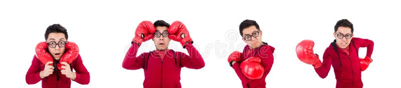 Funny boxer isolated on white stock photography