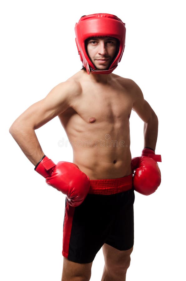 Funny Boxer Isolated on the White Stock Image - Image of infuriated ...