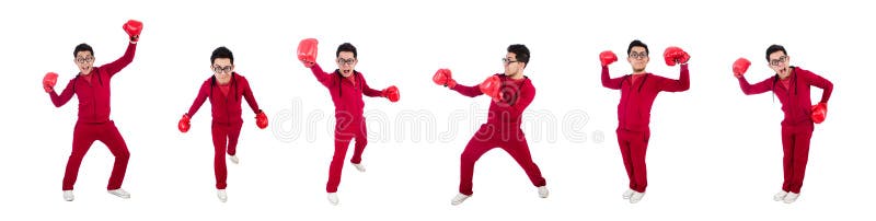 Funny boxer isolated on white royalty free stock image