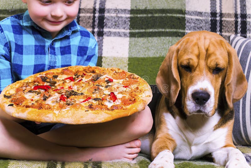 Can Dogs Die From Eating Pizza