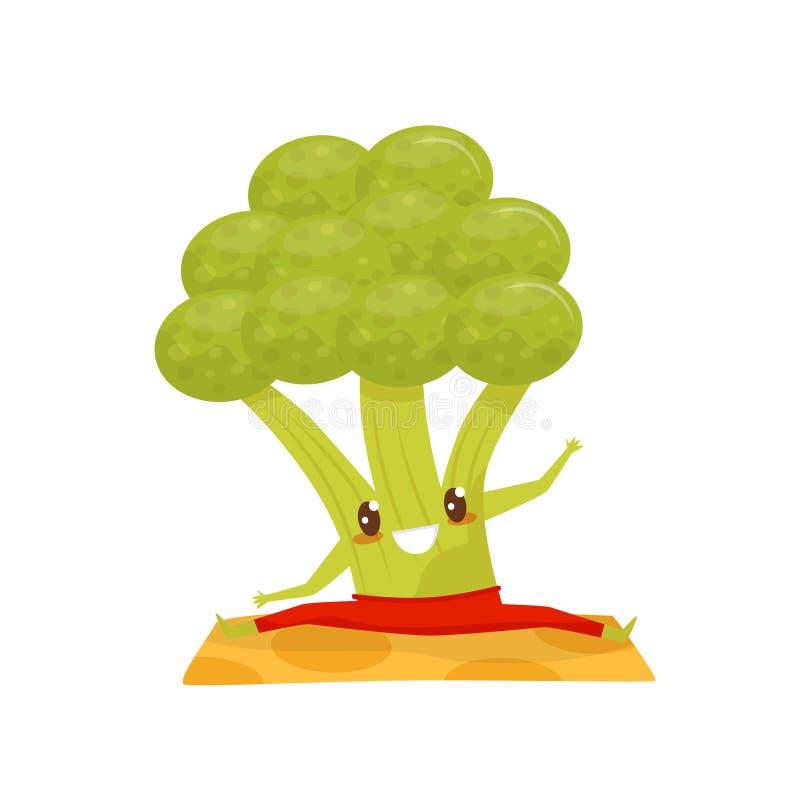 Funny broccoli doing yoga exercise on a mat, sportive vegetable cartoon character vector Illustration on a white vector illustration Funny broccoli doing yoga exercise on a mat, sportive vegetable cartoon character vector Illustration on a white vector illustration