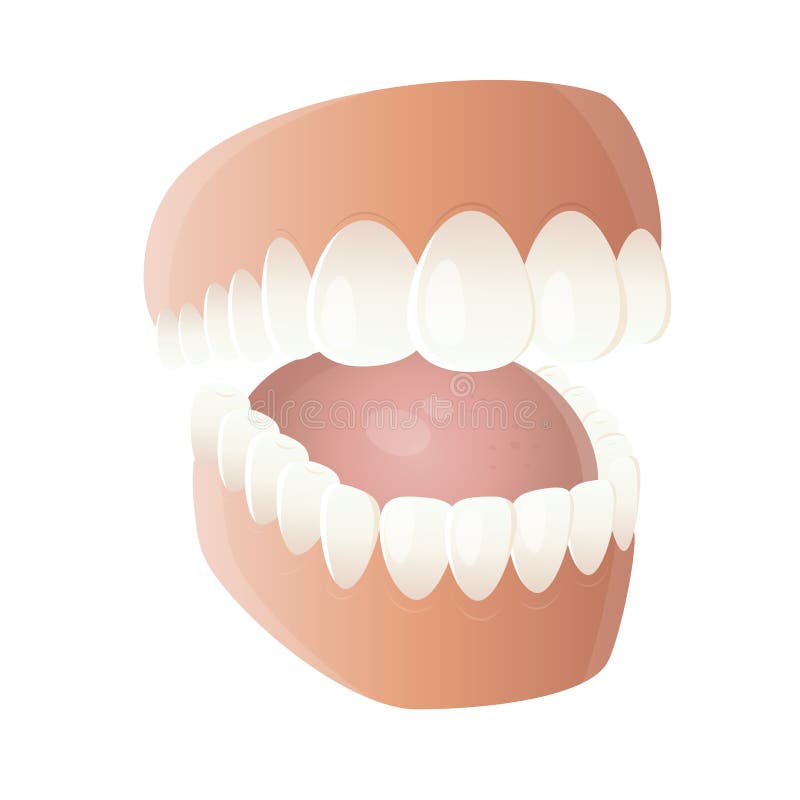 Funny cartoon denture stock vector. Illustration of tongue 32003442