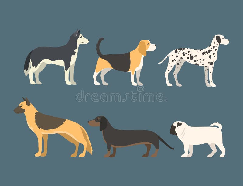 Funny cartoon dog character bread in flat style puppy pet animal doggy vector illustration. royalty free illustration Funny cartoon dog character bread in flat style puppy pet animal doggy vector illustration. royalty free illustration