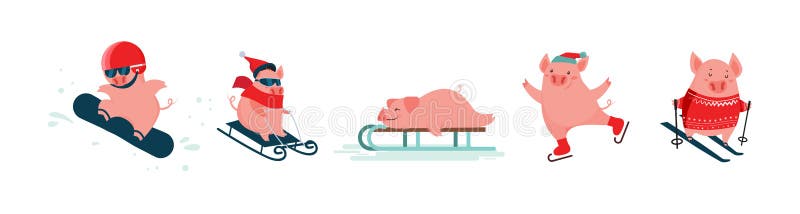 Funny cartoon pigs. Winter vector sport activities. Symbol of the New Year. Excellent for the design of postcards