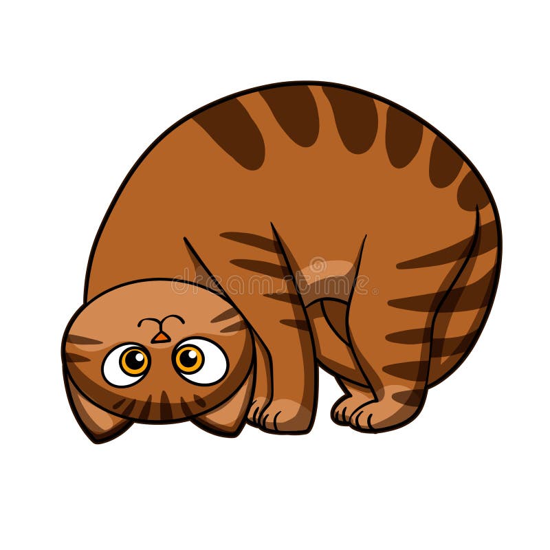 Funny cats - fat cat - cat cartoon royalty free illustration