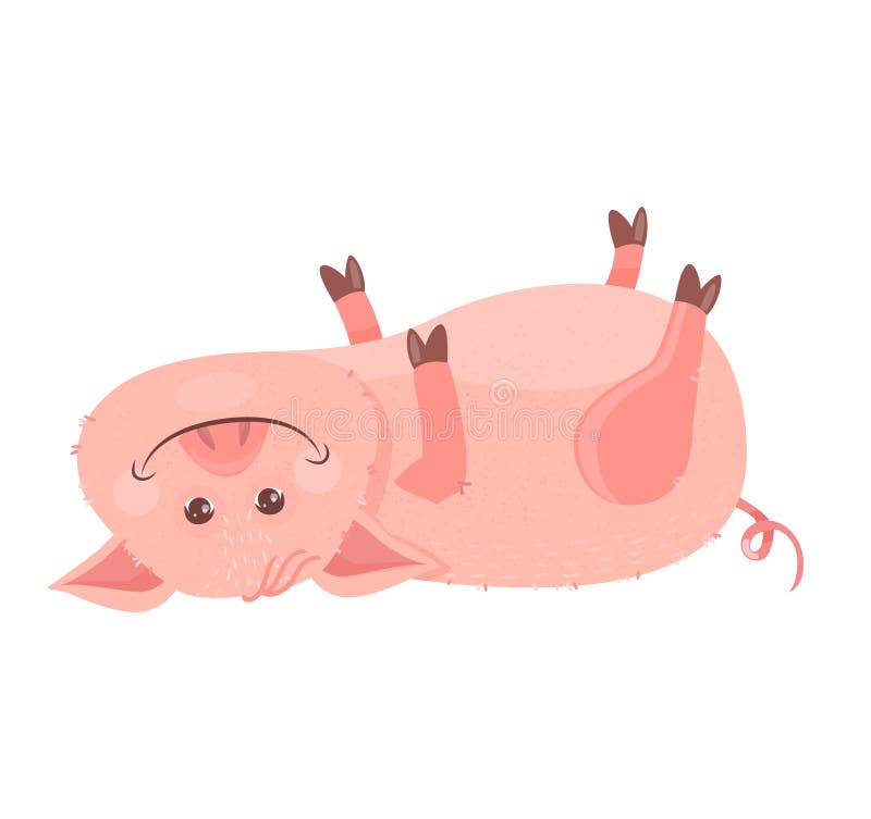 Funny Christmas Symbol Piggy 2019. Pig in the New Year`s Hat Lies