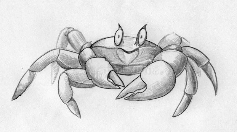 Funny crab sketch