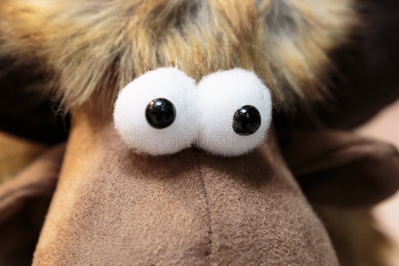 Funny crazy comic artificial homemade eyes, toy making stock image