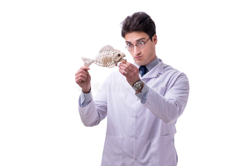 Funny crazy professor paleontologyst studying animal skeletons i royalty free stock images
