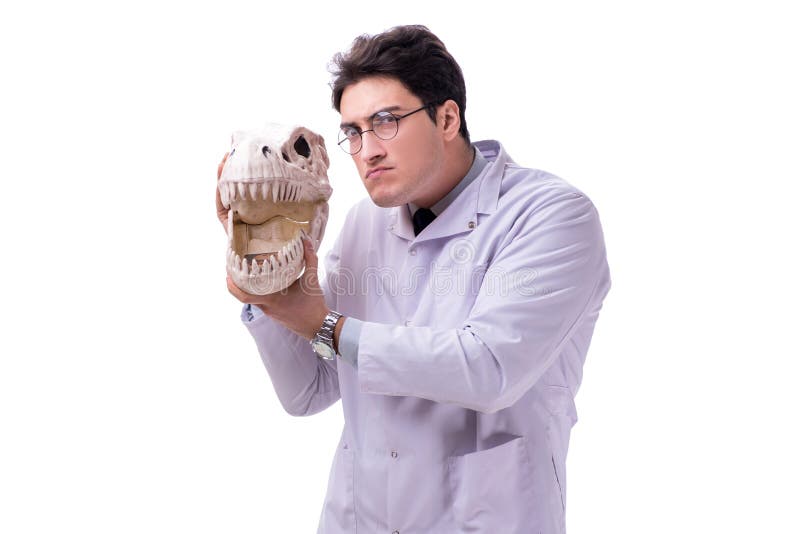 Funny crazy professor paleontologyst studying animal skeletons i stock photos
