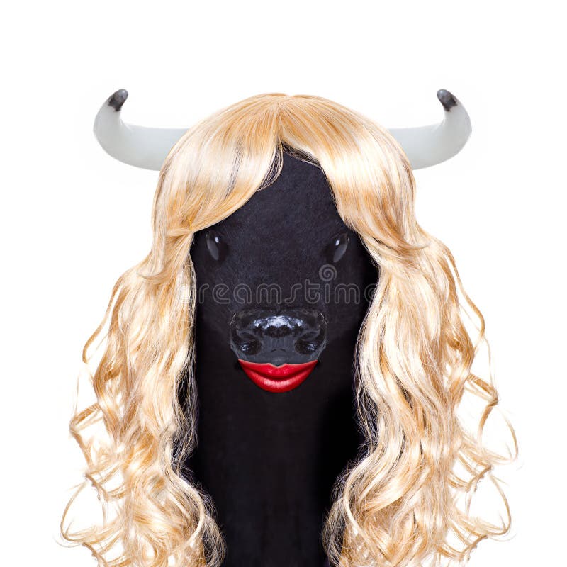 Funny crazy silly carnival calf cow stock photo