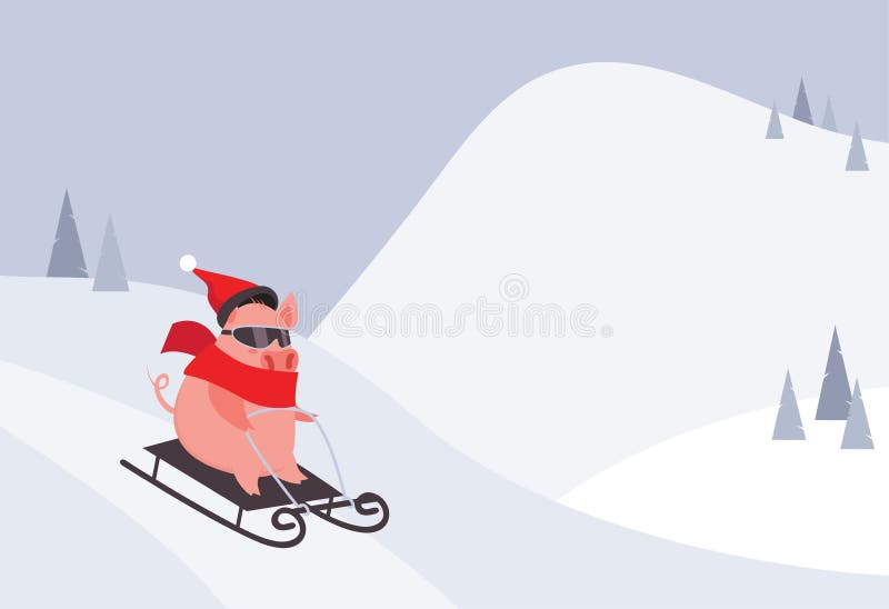 Funny and cute cartoon pig sliding down the snow hill. Winter sport activity. Pig as a symbol of the 2019 New Year