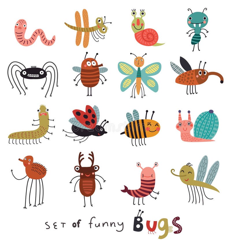 Funny and cute insects