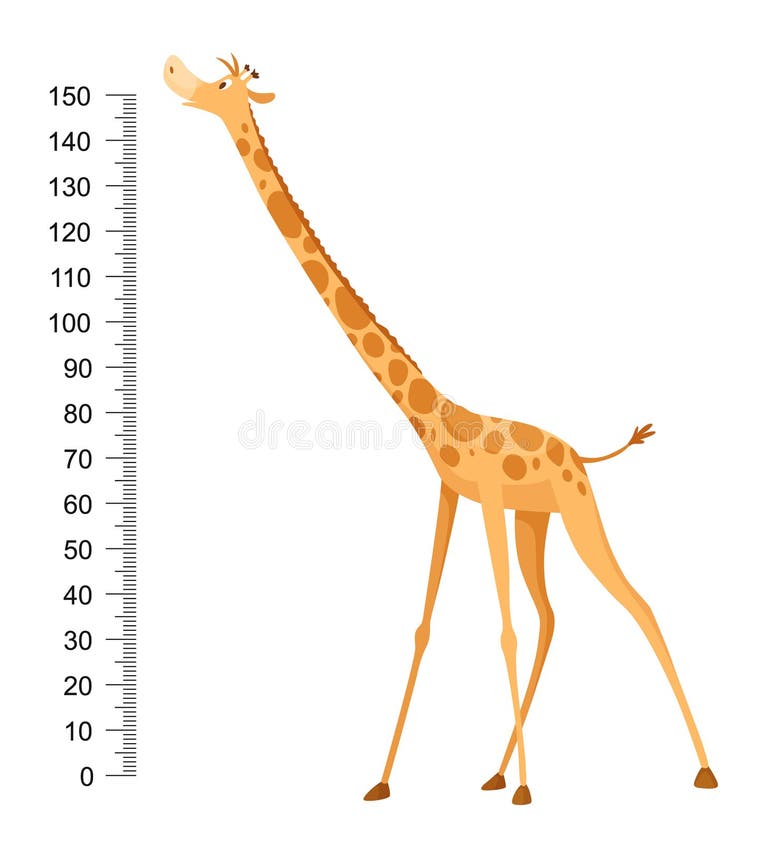 Giraffe Height Scale Stock Illustrations – 349 Giraffe Height Scale