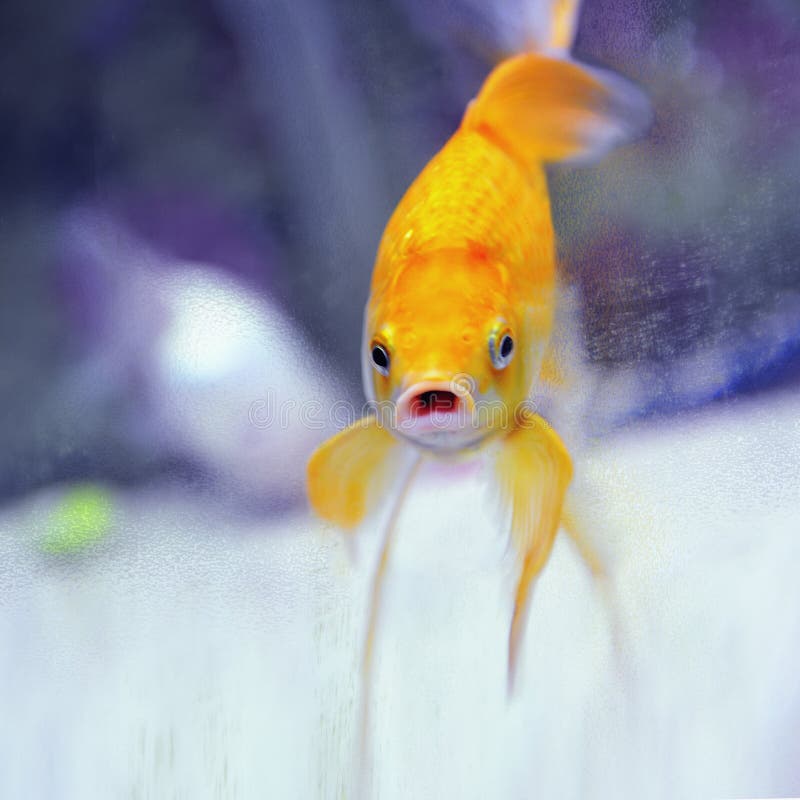 My Image 2