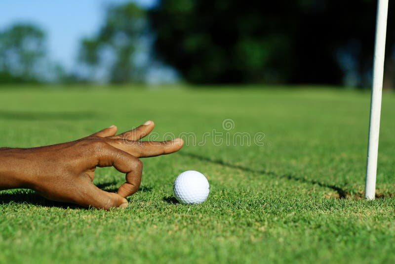 Funny golf stock image. Image of blue, champion, golf 4926919