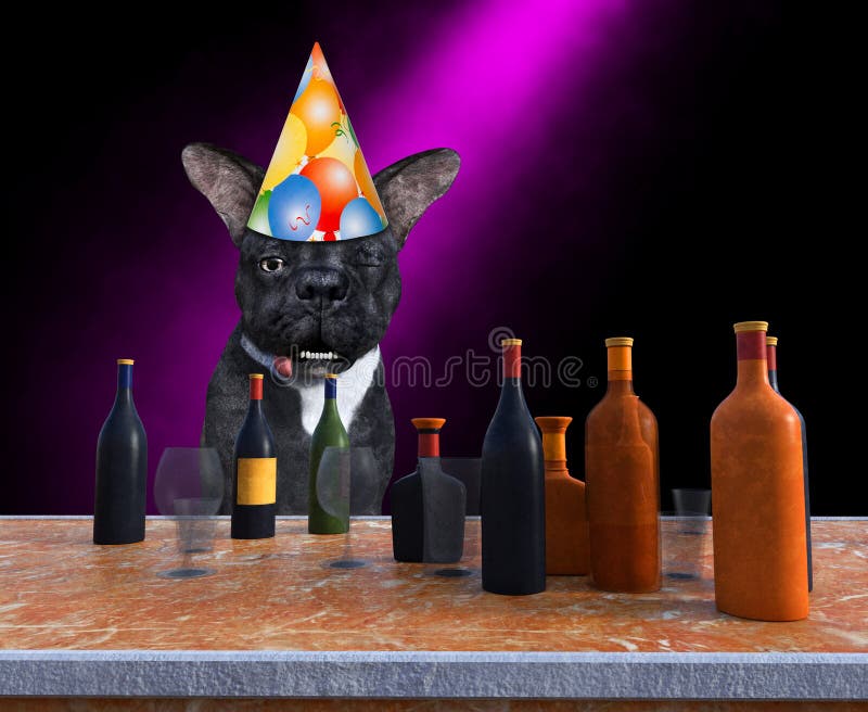 Télécharger gratuitement Images Birthday Dog Stock Photos Download 8 086 Royalty Free Photos actualisé par