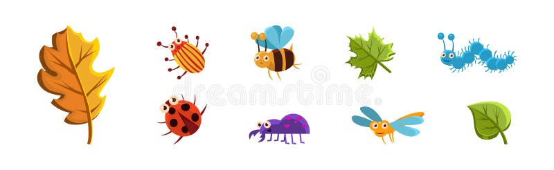 Funny Insect Small Crawling Animal and Leaf Vector Set vector illustration