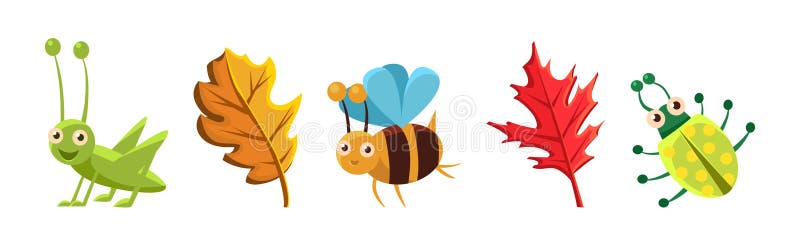 Funny Insect Small Crawling Animal and Leaf Vector Set vector illustration